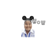 penguin_20241122193432