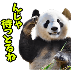 石川・金沢弁☆パンダ