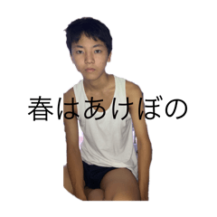 SN_20241122194128