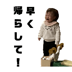 koara_20241122173630