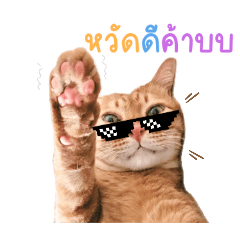 Beam_20241122152622 – LINE stickers | LINE STORE