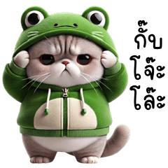 Cat Frog Costume (Kum-muang)