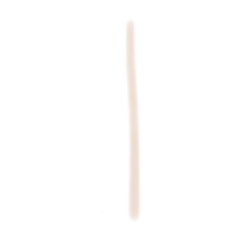 Shark_20241123170019