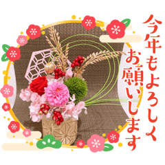 YY Flower_20241123203150