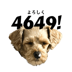 Seijuro_20241124010429