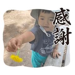 shomura_20241124105804