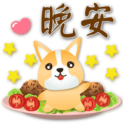 Mini Corgi & food Common phrases