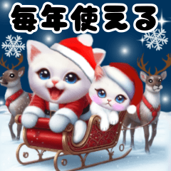 Cute Santa Cosplay Cat