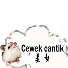 Cute greetings to cute hedgehogs-7