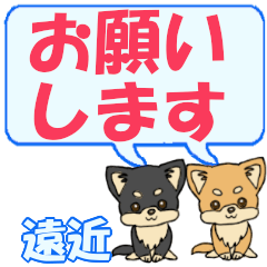 Toochika's letters Chihuahua2