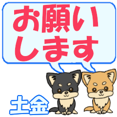 Tsuchikane's letters Chihuahua2