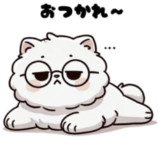 a fluffy white cat with glasses.