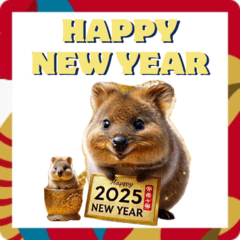 Quokka Wallaby New Year5