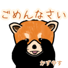 Kazuyasu's lesser panda