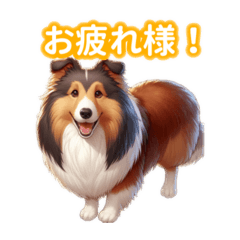 So cute Rough Collie!