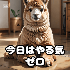 Master of Slacking Alpaca