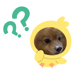 hayato_20241124202444