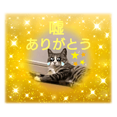 saiyu_20241124201812