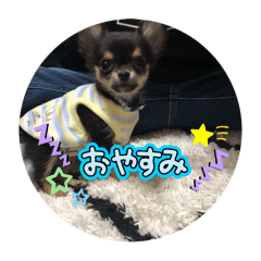ousuke_20241124201838