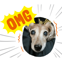 Nanami Matsui_20241124205721