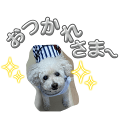 yokko_20241124222202