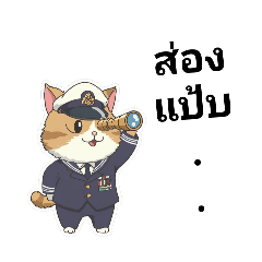 Adorable Navy Cat