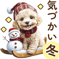 Toy poodle winter kind word stickers