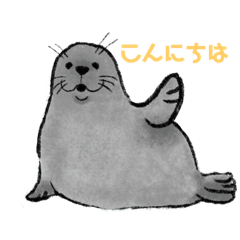 Sea doggo_20241124221557