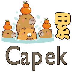 Capybara_Indonesian3