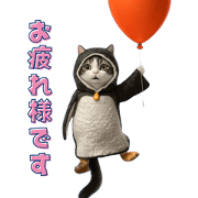dancing pengin cat