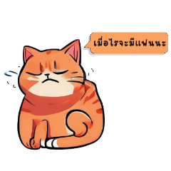 orang cat_20241125160819