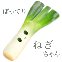 Spring onion chan 2