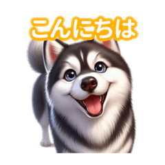 So cute Siberian Husky!