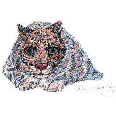 Clouded leopard/wordless cute stickers