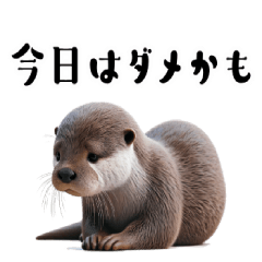 Realistic Otter 3 [Physical Condition]