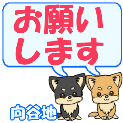 Kouyachi's letters Chihuahua2