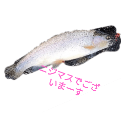 rainbowtrout_20241125205004