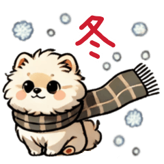 Pomeranian in winter