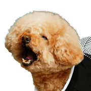 choco-kun Sticker