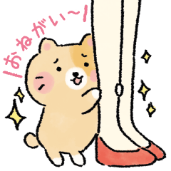 Cat Company 1 (JP)