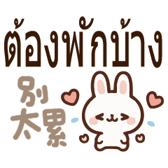 可愛動物貓狗兔中文泰國泰文3 – LINE貼圖 | LINE STORE