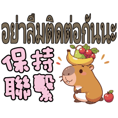 Capybara_Thai Thailland