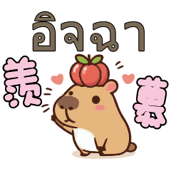 Capybara_Thai Thailland2