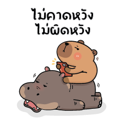 คาปิบาร่าเอง V.13 : แบบบิ๊กๆ