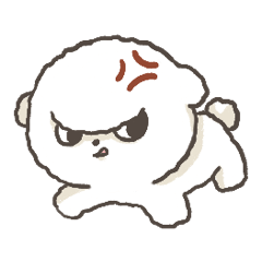 Angry Bichon dog