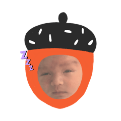 HaoHao第二彈