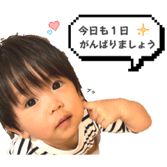 Yanagi_20241126153326
