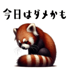 Realistic red panda 3 physical condition