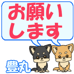 Toyomaru's letters Chihuahua2