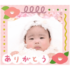nanao_20241126162118